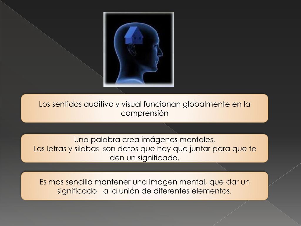 Los sentidos auditivo y visual funcionan globalmente en la comprensión