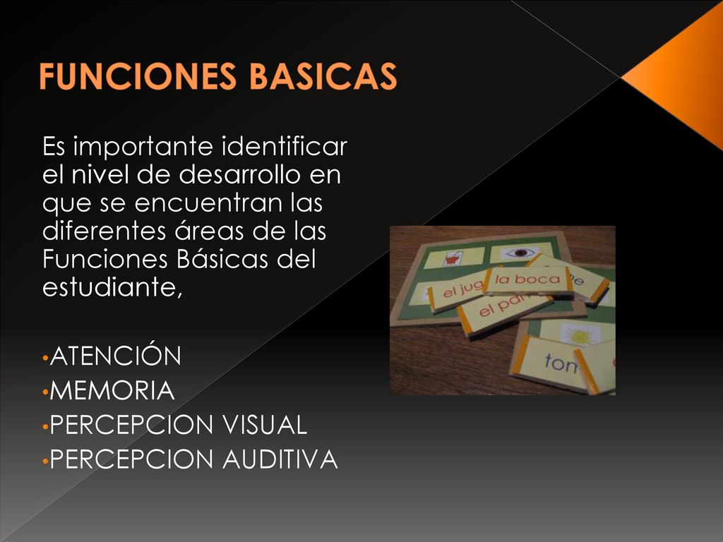 FUNCIONES BASICAS Es importante identificar el nivel de desarrollo en que se encuentran las diferentes áreas de las Funciones Básicas del estudiante,