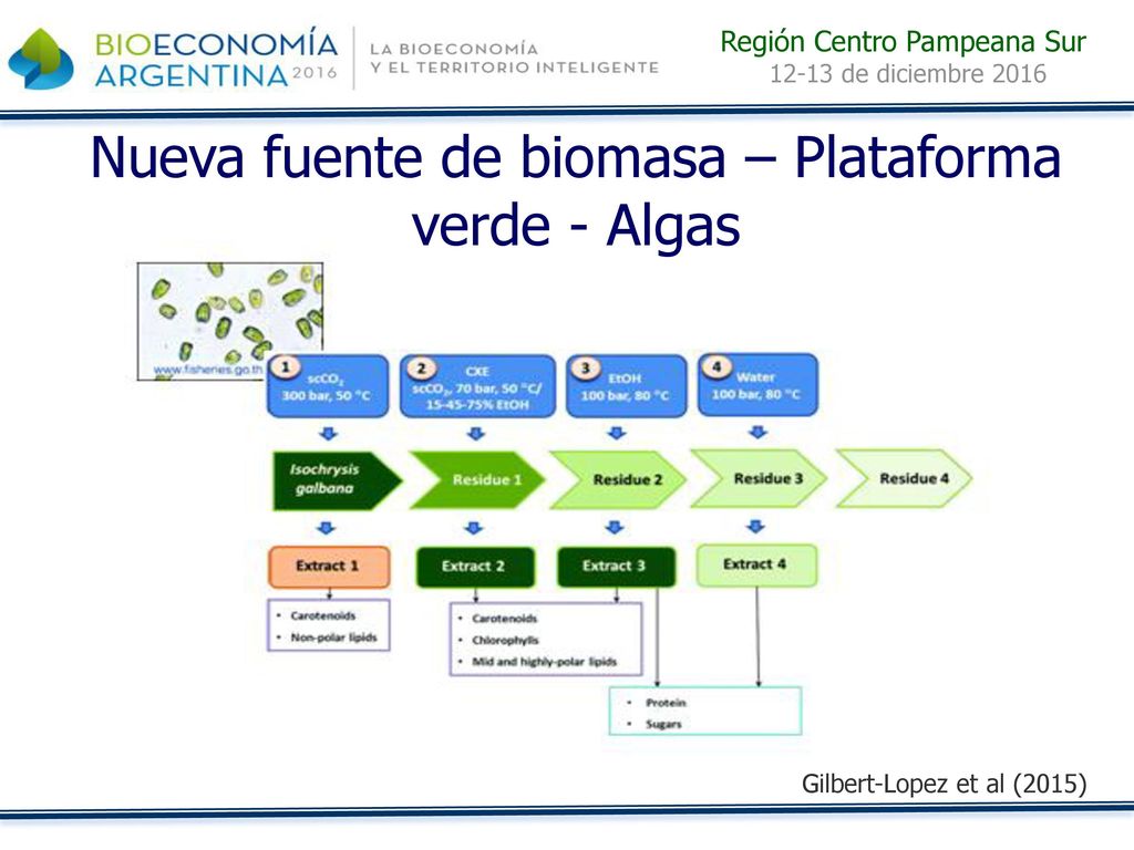 Nueva fuente de biomasa – Plataforma verde - Algas