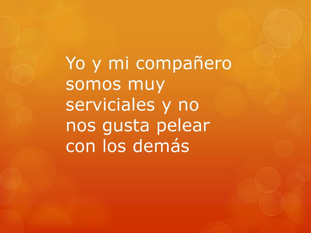 Yo y mi compañero somos muy serviciales y no nos gusta pelear con los demás