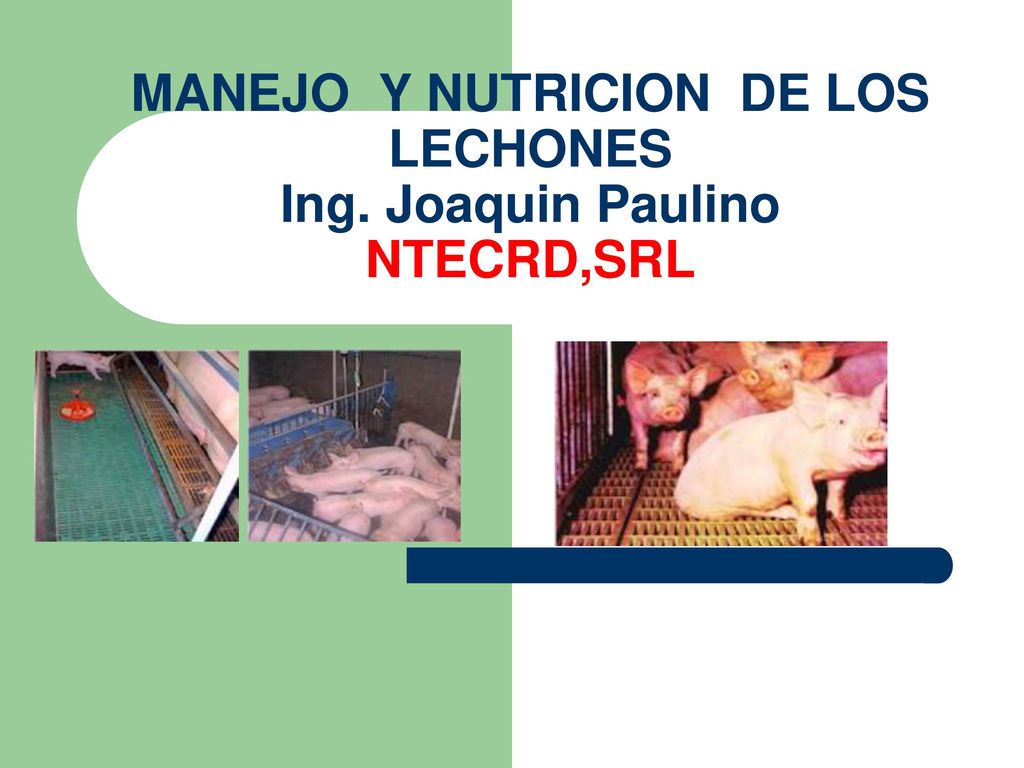 MANEJO Y NUTRICION DE LOS LECHONES Ing. Joaquin Paulino NTECRD,SRL
