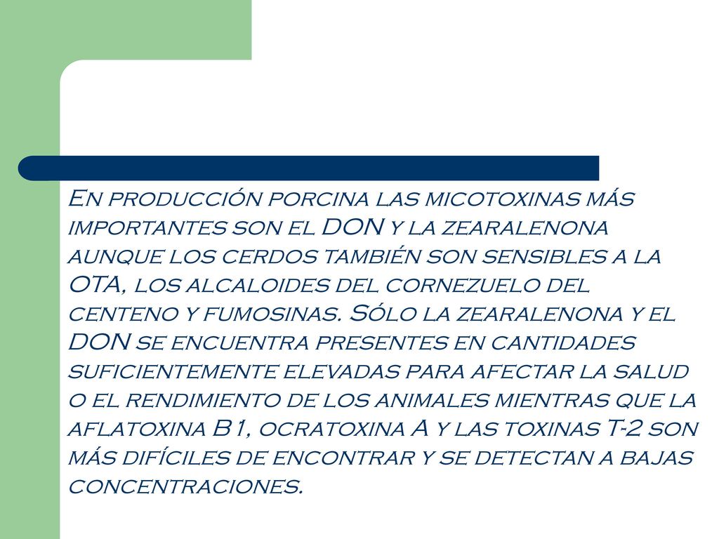 En producción porcina las micotoxinas más importantes son el DON y la zearalenona aunque los cerdos también son sensibles a la OTA, los alcaloides del cornezuelo del centeno y fumosinas.