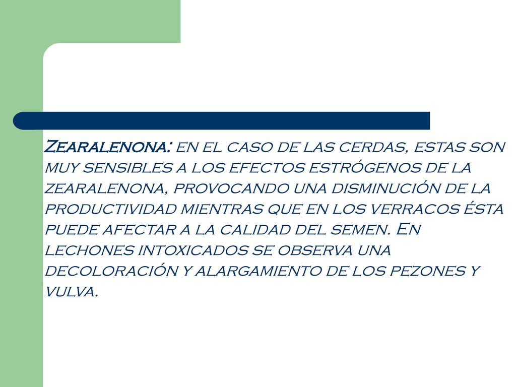 Zearalenona: en el caso de las cerdas, estas son muy sensibles a los efectos estrógenos de la zearalenona, provocando una disminución de la productividad mientras que en los verracos ésta puede afectar a la calidad del semen.