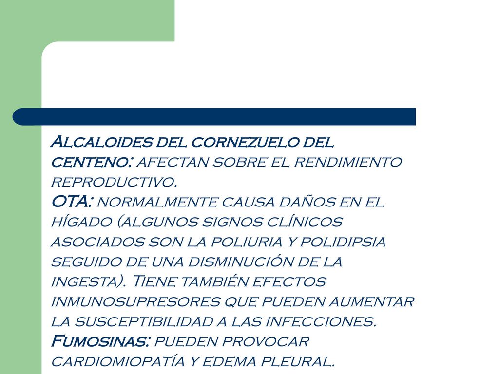 Alcaloides del cornezuelo del centeno: afectan sobre el rendimiento reproductivo.
