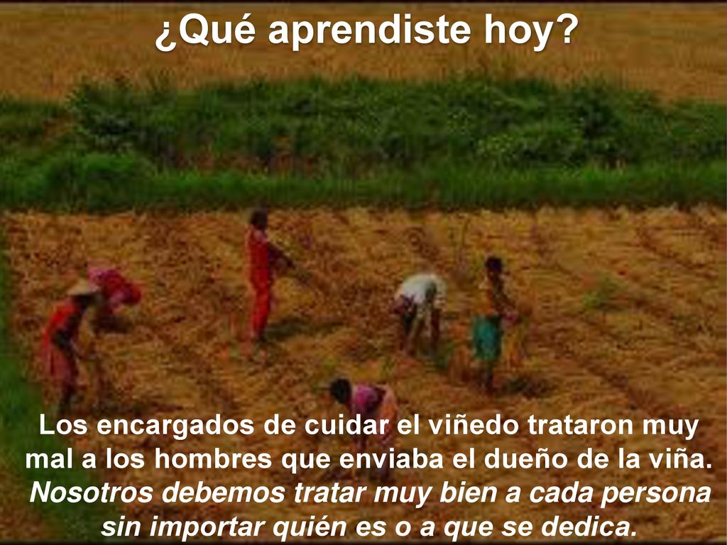 ¿Qué aprendiste hoy Los encargados de cuidar el viñedo trataron muy mal a los hombres que enviaba el dueño de la viña.