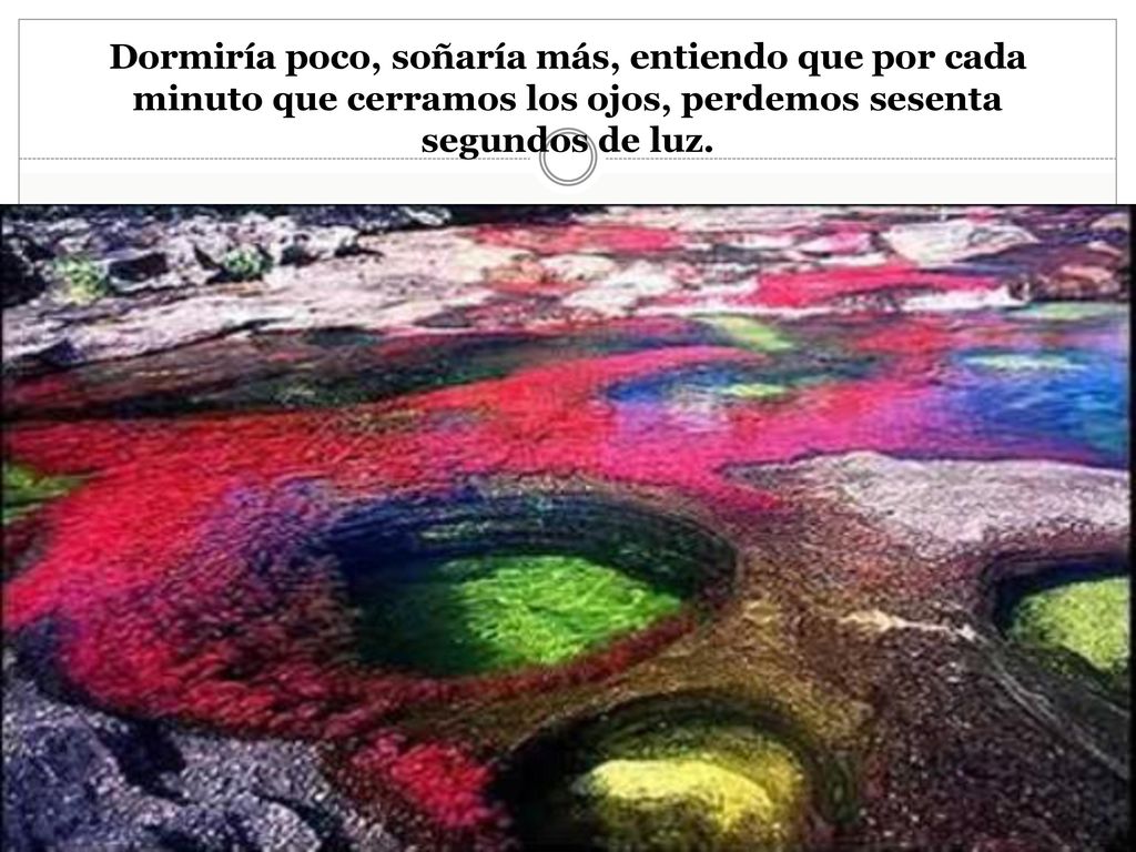 Dormiría poco, soñaría más, entiendo que por cada minuto que cerramos los ojos, perdemos sesenta segundos de luz.
