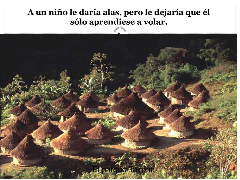A un niño le daría alas, pero le dejaría que él sólo aprendiese a volar. .