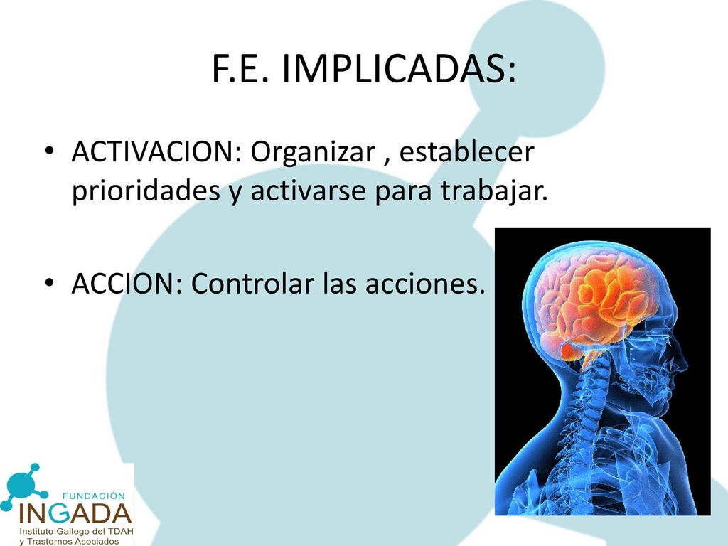 F.E. IMPLICADAS: ACTIVACION: Organizar , establecer prioridades y activarse para trabajar.