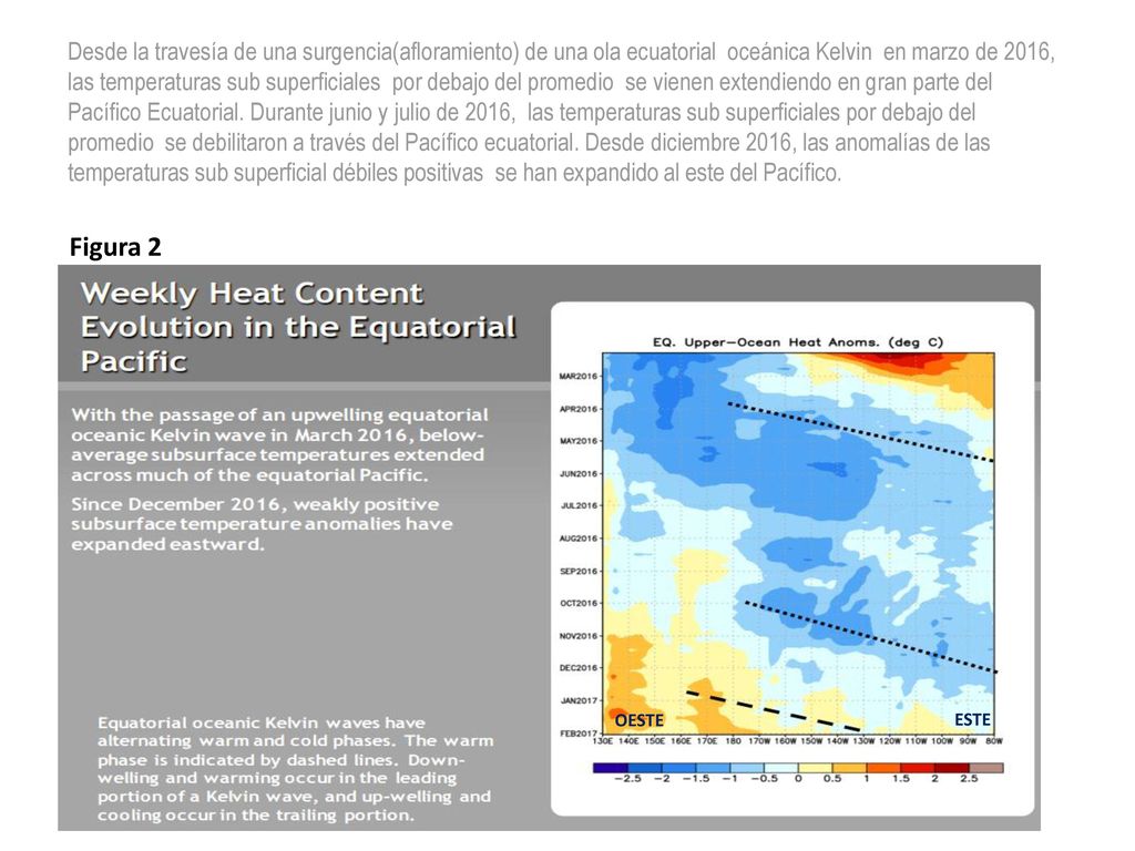 Desde la travesía de una surgencia(afloramiento) de una ola ecuatorial oceánica Kelvin en marzo de 2016, las temperaturas sub superficiales por debajo del promedio se vienen extendiendo en gran parte del Pacífico Ecuatorial. Durante junio y julio de 2016, las temperaturas sub superficiales por debajo del promedio se debilitaron a través del Pacífico ecuatorial. Desde diciembre 2016, las anomalías de las temperaturas sub superficial débiles positivas se han expandido al este del Pacífico.