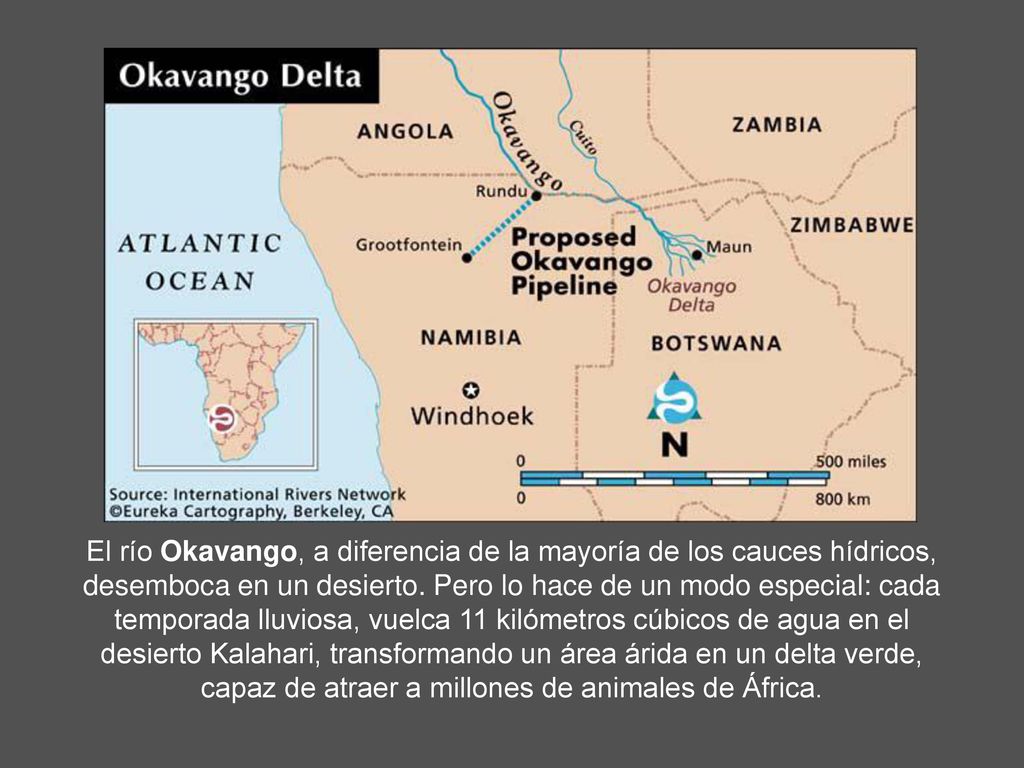 El río Okavango, a diferencia de la mayoría de los cauces hídricos, desemboca en un desierto.