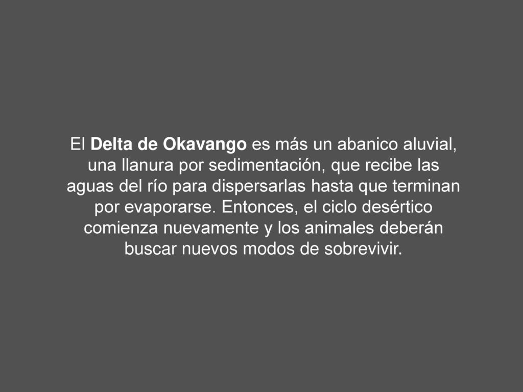 El Delta de Okavango es más un abanico aluvial, una llanura por sedimentación, que recibe las aguas del río para dispersarlas hasta que terminan por evaporarse.