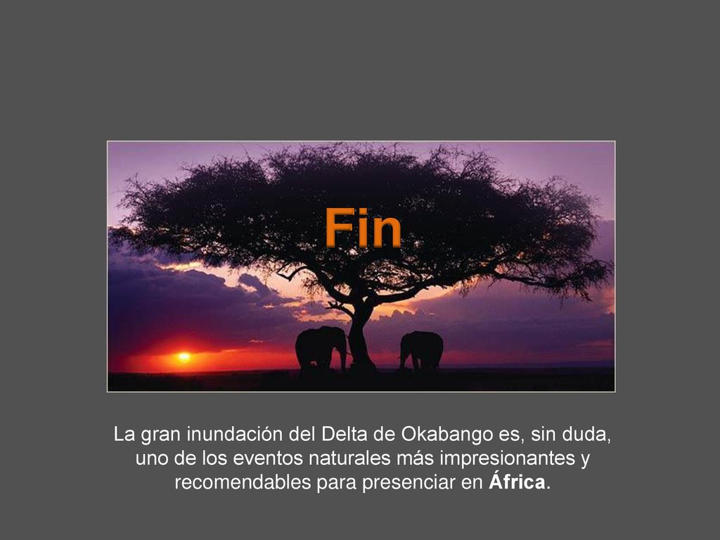 Fin La gran inundación del Delta de Okabango es, sin duda, uno de los eventos naturales más impresionantes y recomendables para presenciar en África.