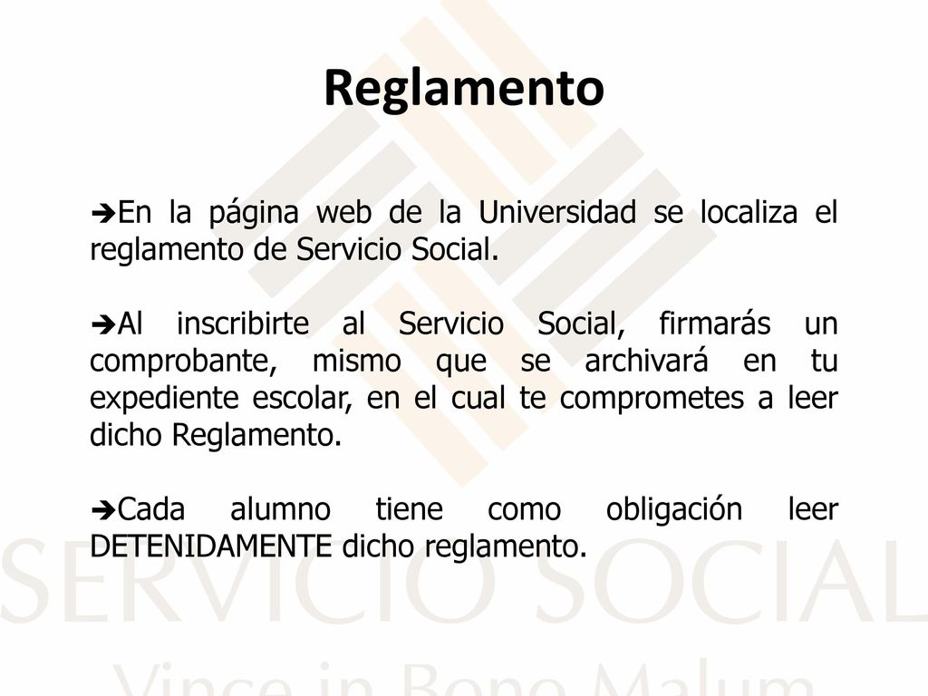 Reglamento En la página web de la Universidad se localiza el reglamento de Servicio Social.