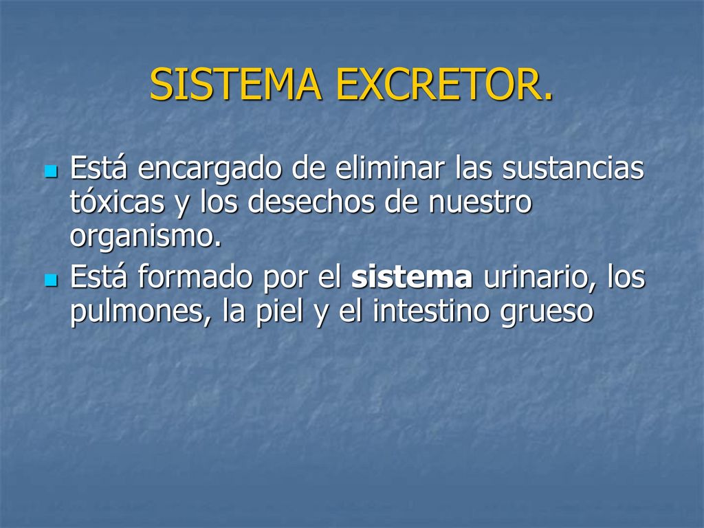 SISTEMA EXCRETOR. Está encargado de eliminar las sustancias tóxicas y los desechos de nuestro organismo.