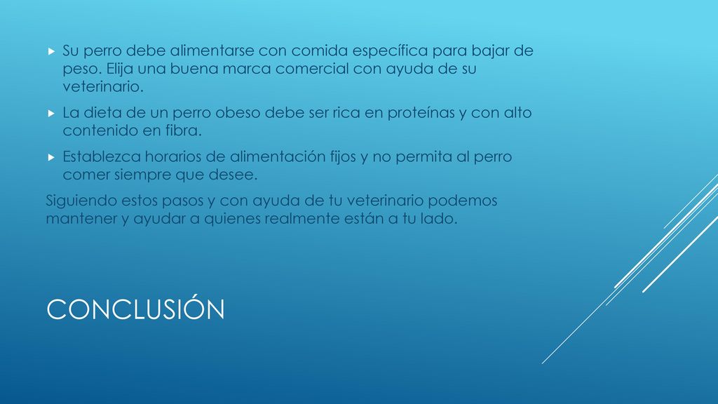Su perro debe alimentarse con comida específica para bajar de peso