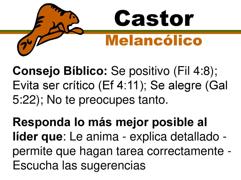Castor Melancólico. Consejo Bíblico: Se positivo (Fil 4:8); Evita ser crítico (Ef 4:11); Se alegre (Gal 5:22); No te preocupes tanto.