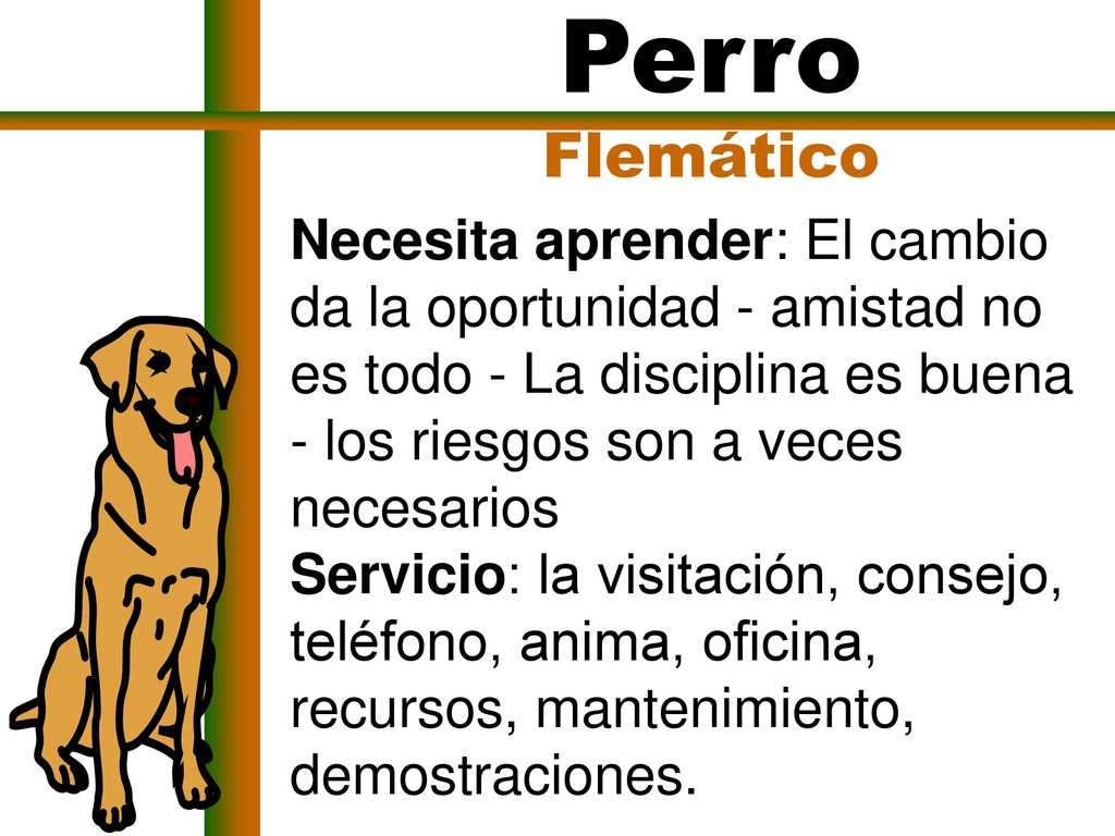 Perro Flemático. Necesita aprender: El cambio da la oportunidad - amistad no es todo - La disciplina es buena - los riesgos son a veces necesarios.