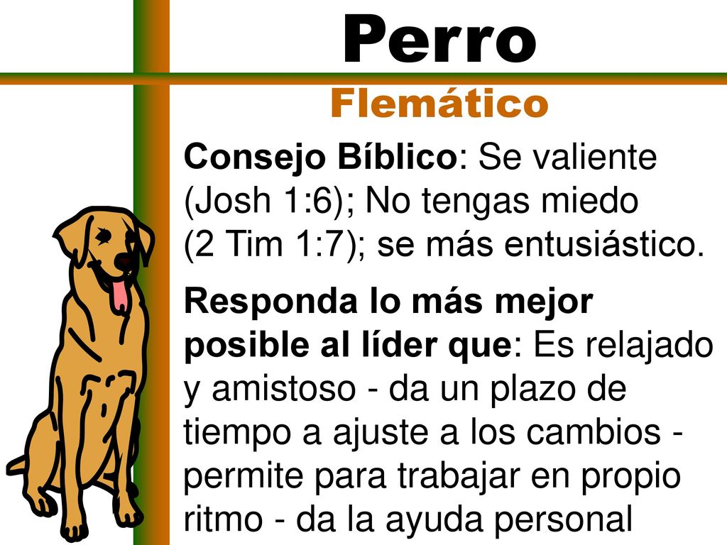 Perro Flemático. Consejo Bíblico: Se valiente (Josh 1:6); No tengas miedo (2 Tim 1:7); se más entusiástico.