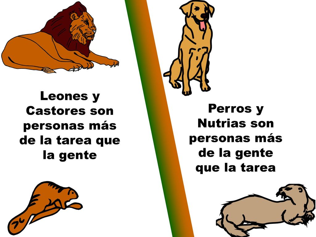 Leones y Castores son personas más de la tarea que la gente