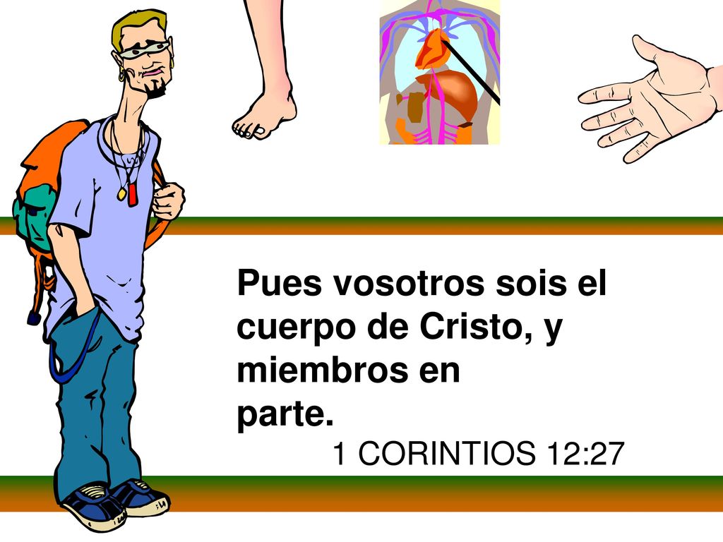 Pues vosotros sois el cuerpo de Cristo, y miembros en
