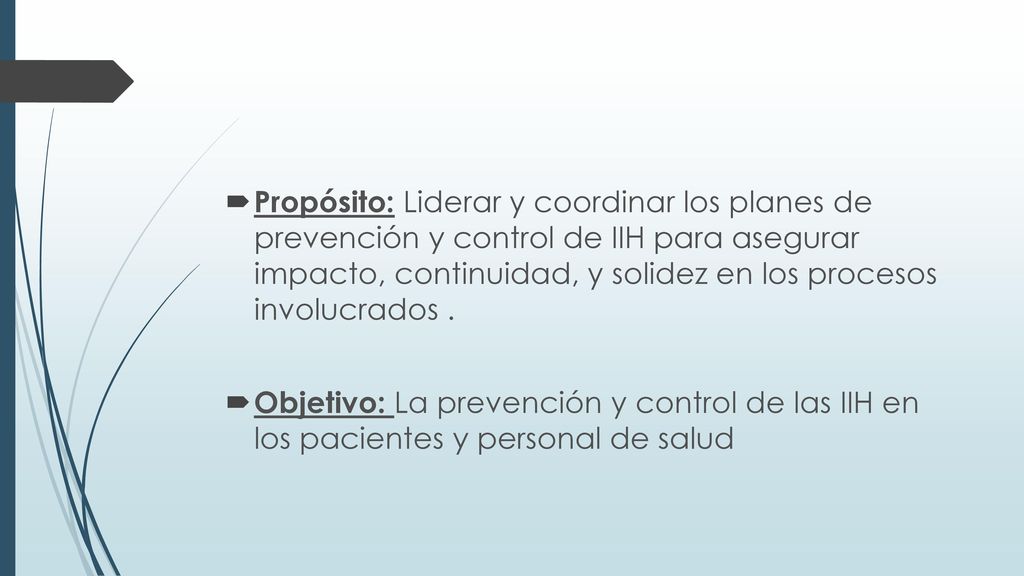 Propósito: Liderar y coordinar los planes de prevención y control de IIH para asegurar impacto, continuidad, y solidez en los procesos involucrados .