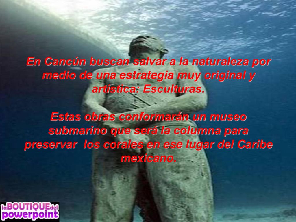 En Cancún buscan salvar a la naturaleza por medio de una estrategia muy original y artística: Esculturas.