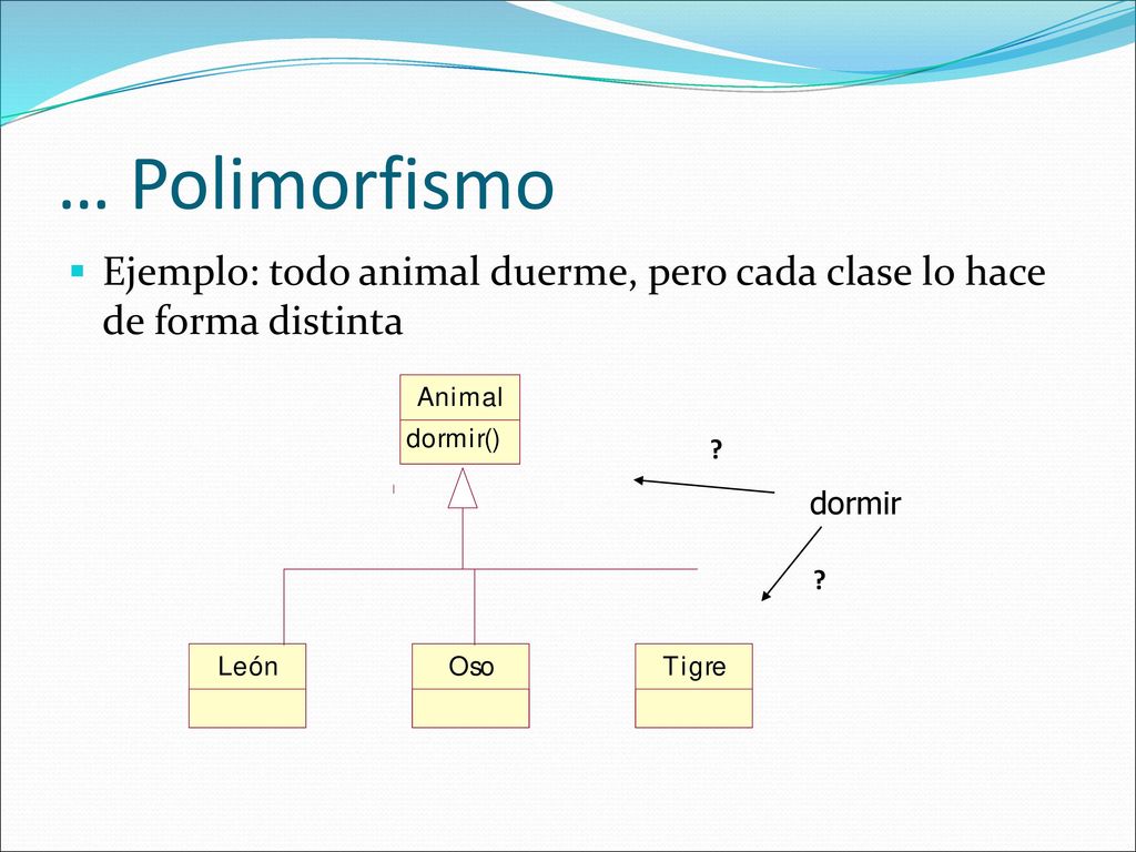 … Polimorfismo Ejemplo: todo animal duerme, pero cada clase lo hace de forma distinta dormir