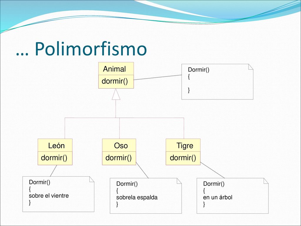… Polimorfismo Animal dormir() León Oso Tigre dormir() dormir()