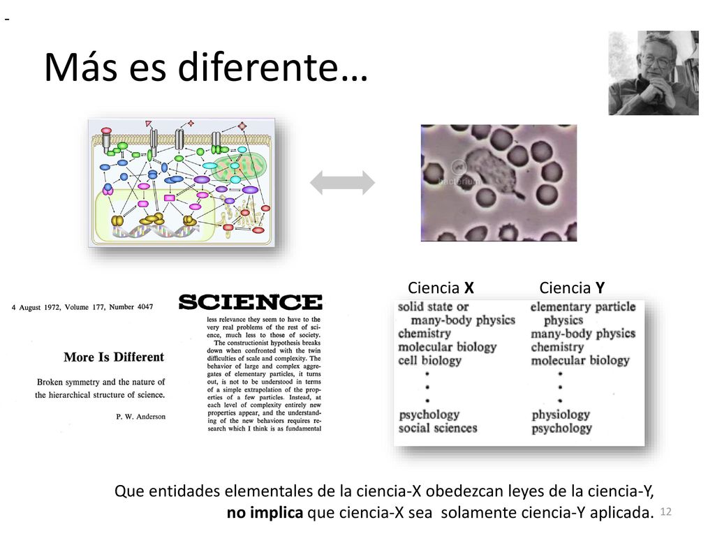 Más es diferente… - Neutrophyl chasing a bacteria Ciencia X Ciencia Y