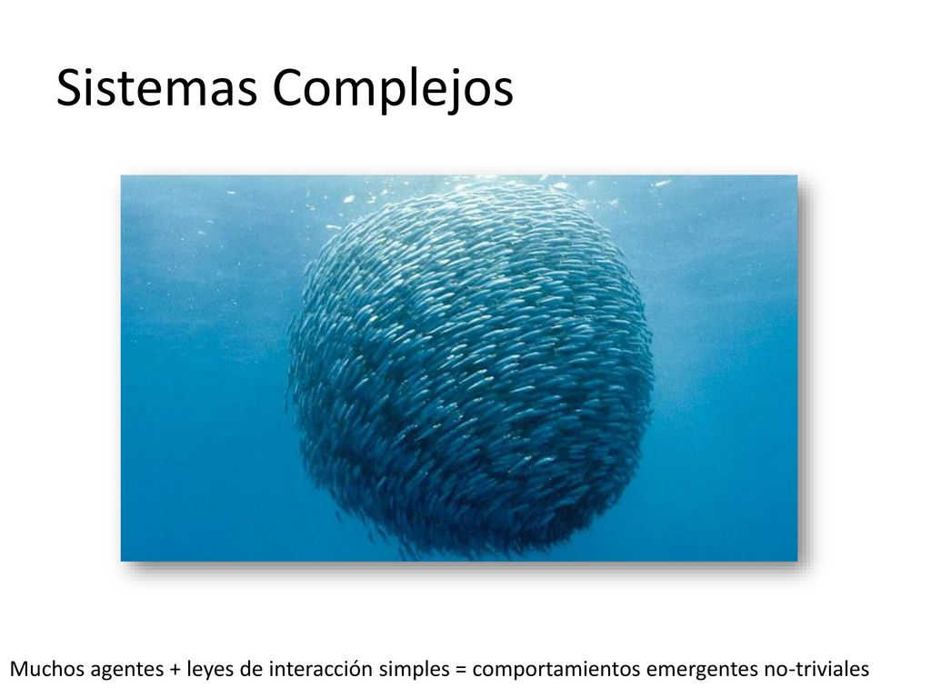 Sistemas Complejos Muchos agentes + leyes de interacción simples = comportamientos emergentes no-triviales.