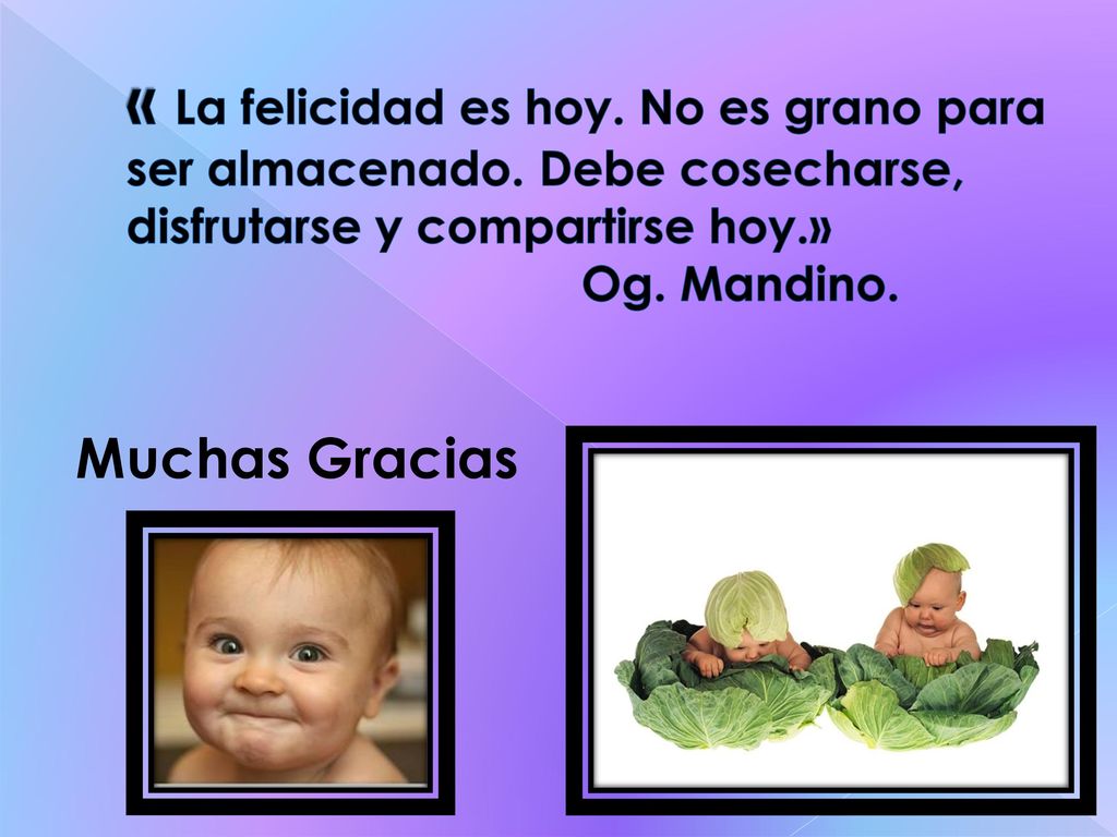 « La felicidad es hoy. No es grano para ser almacenado