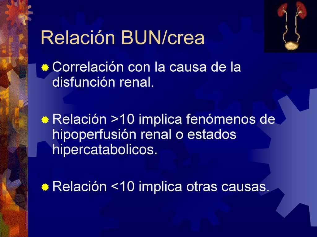 Relación BUN/crea Correlación con la causa de la disfunción renal.