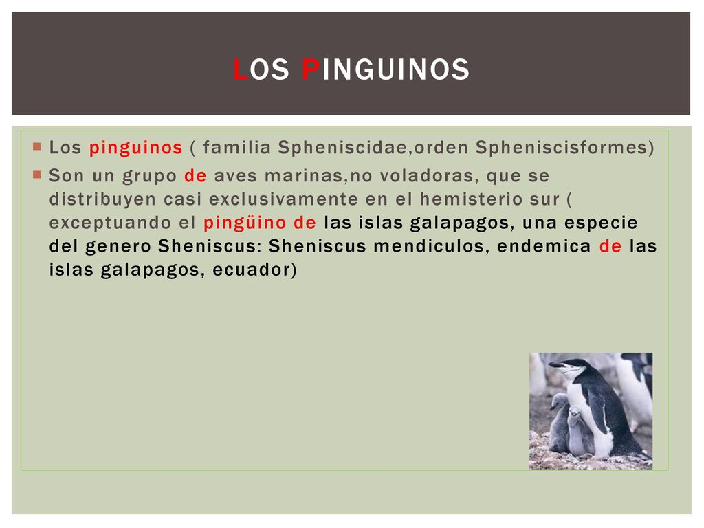 Los pinguinos Los pinguinos ( familia Spheniscidae,orden Spheniscisformes)