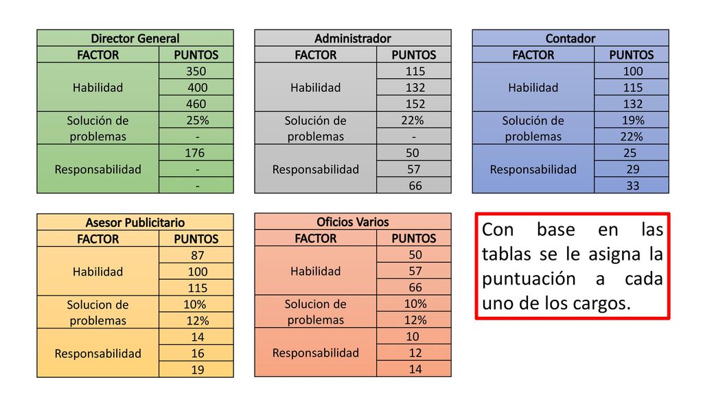 Director General FACTOR. PUNTOS. Habilidad Solución de problemas. 25% - Responsabilidad.