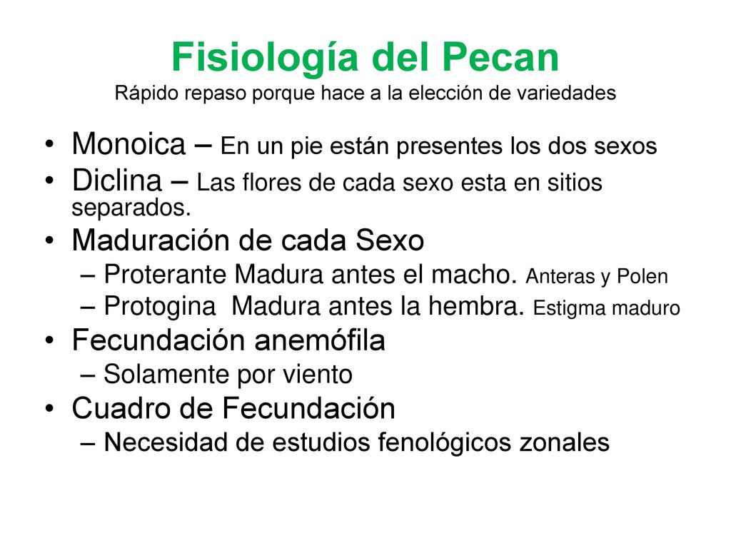 Fisiología del Pecan Rápido repaso porque hace a la elección de variedades