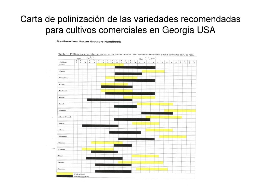 Carta de polinización de las variedades recomendadas para cultivos comerciales en Georgia USA
