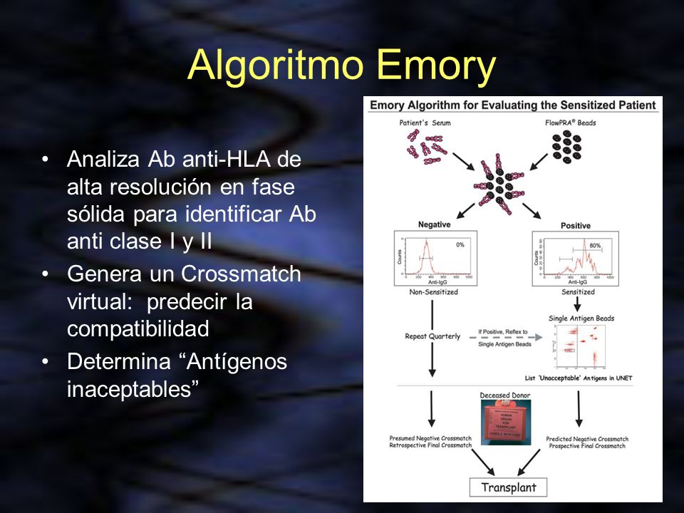 Algoritmo Emory Analiza Ab anti-HLA de alta resolución en fase sólida para identificar Ab anti clase I y II.