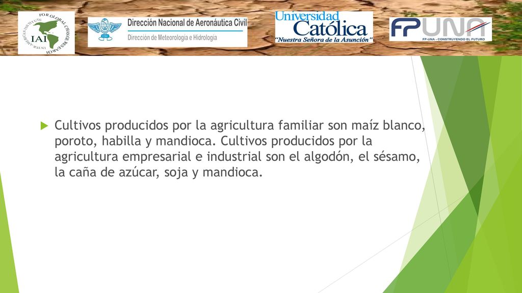 Cultivos producidos por la agricultura familiar son maíz blanco, poroto, habilla y mandioca.