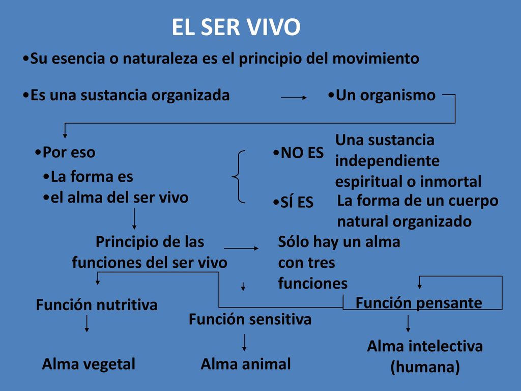 EL SER VIVO Su esencia o naturaleza es el principio del movimiento