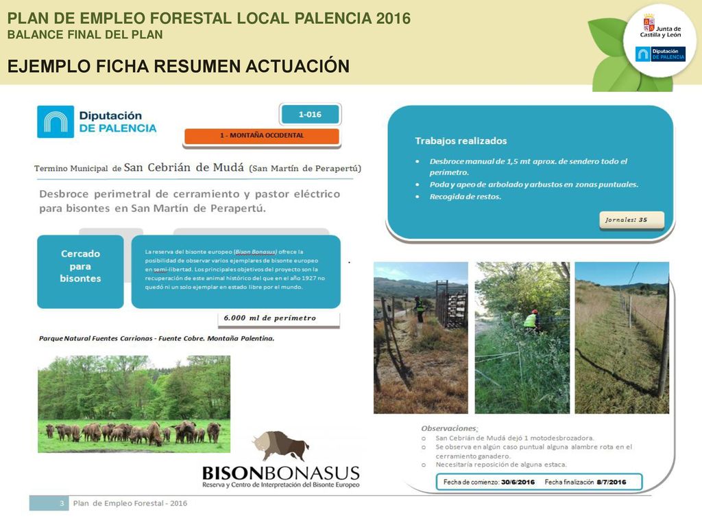 PLAN DE EMPLEO FORESTAL LOCAL PALENCIA 2016 BALANCE FINAL DEL PLAN EJEMPLO FICHA RESUMEN ACTUACIÓN