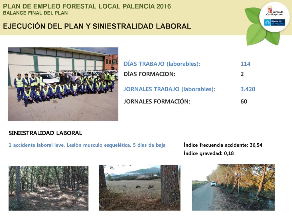 PLAN DE EMPLEO FORESTAL LOCAL PALENCIA 2016 BALANCE FINAL DEL PLAN EJECUCIÓN DEL PLAN Y SINIESTRALIDAD LABORAL