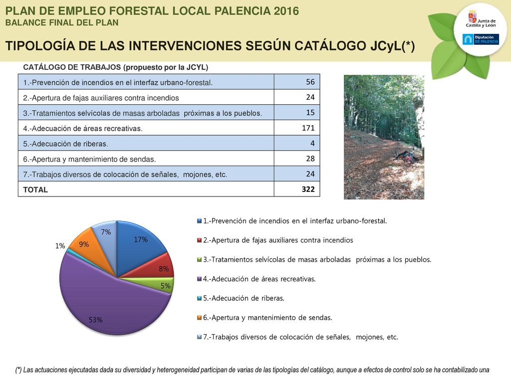 PLAN DE EMPLEO FORESTAL LOCAL PALENCIA 2016 BALANCE FINAL DEL PLAN TIPOLOGÍA DE LAS INTERVENCIONES SEGÚN CATÁLOGO JCyL(*)