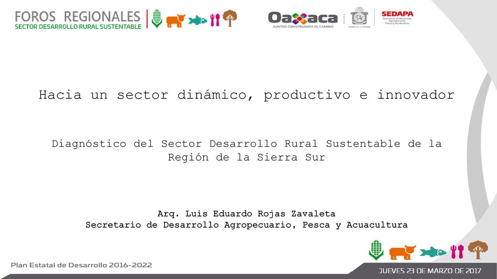 Hacia un sector dinámico, productivo e innovador