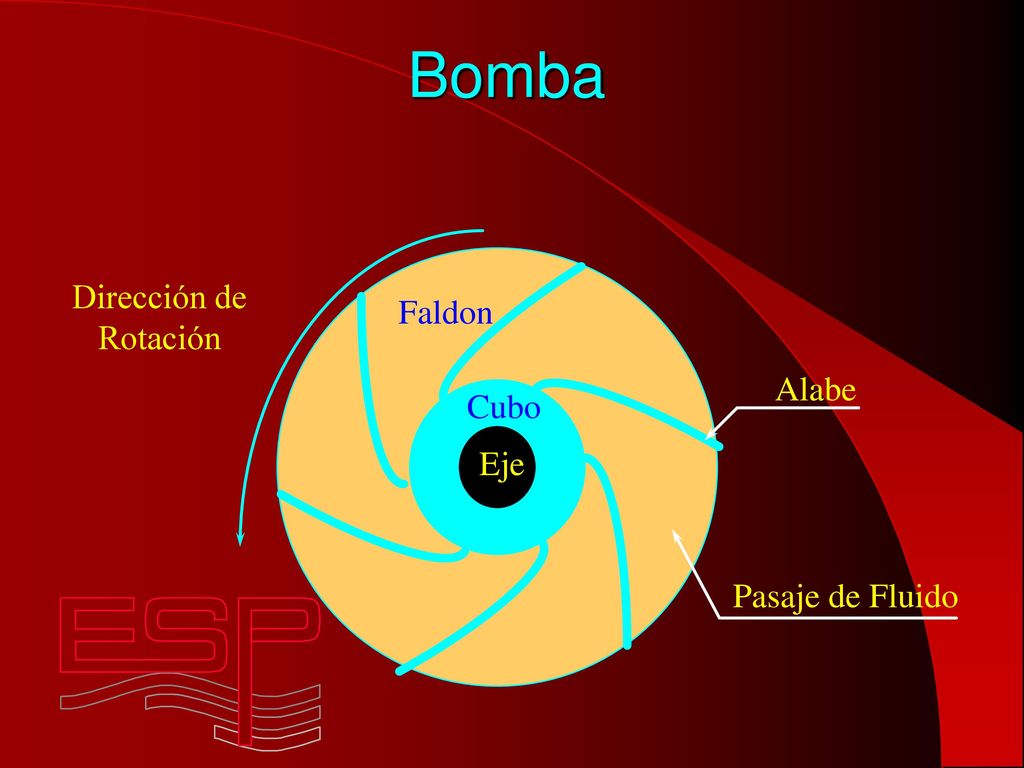 Bomba Dirección de Rotación Faldon Alabe Cubo Eje Pasaje de Fluido