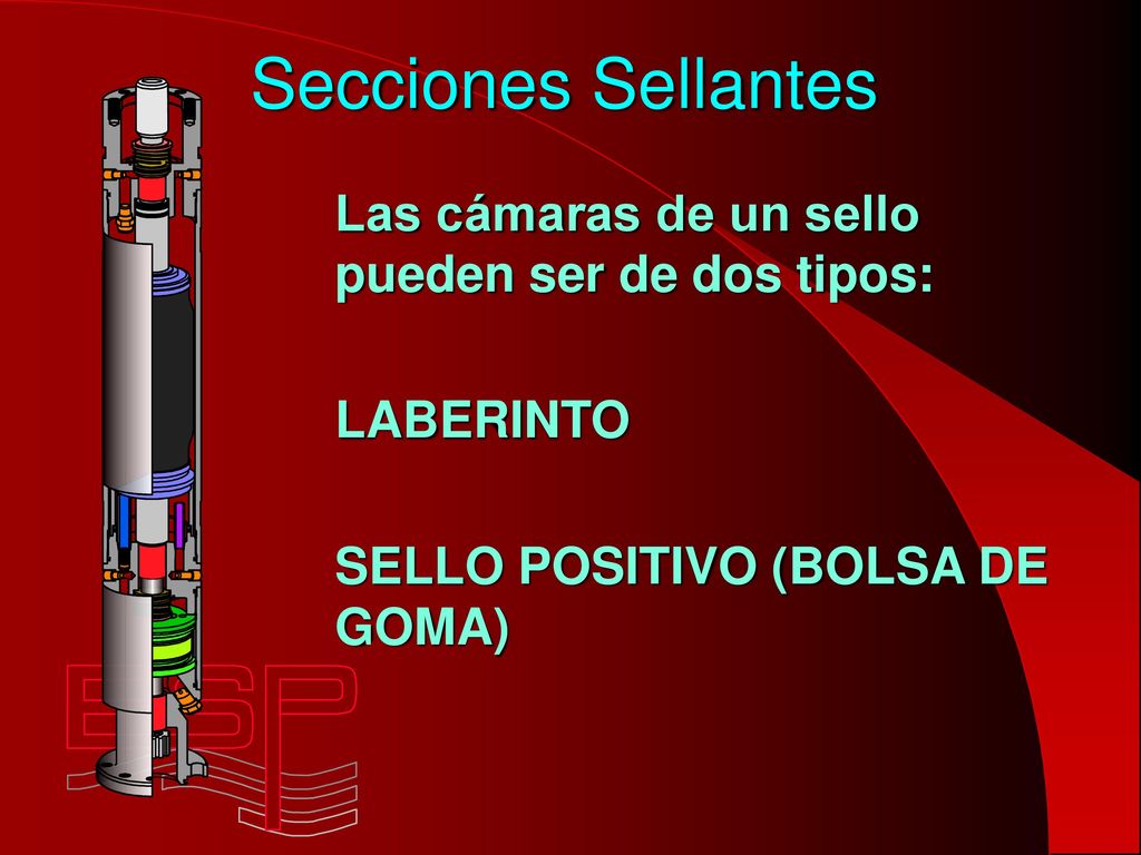 Secciones Sellantes Las cámaras de un sello pueden ser de dos tipos: