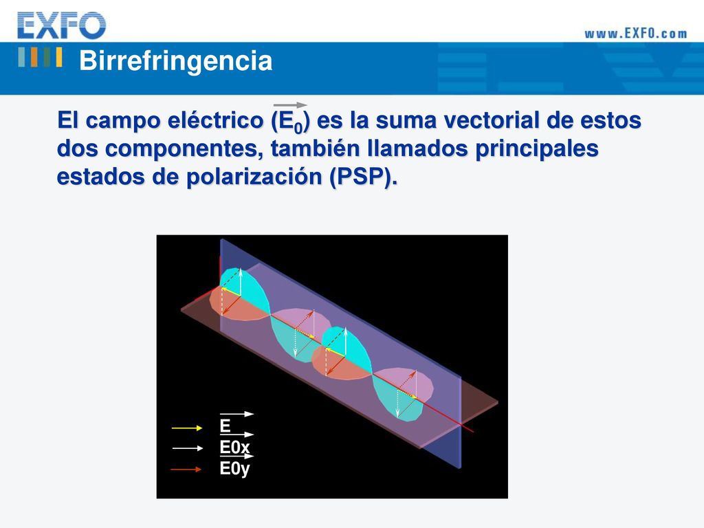 Birrefringencia El campo eléctrico (E0) es la suma vectorial de estos dos componentes, también llamados principales estados de polarización (PSP).