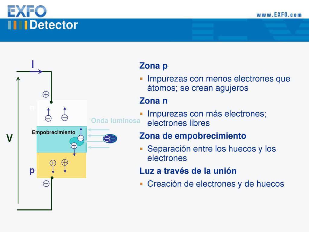 Detector I. Zona p. Impurezas con menos electrones que átomos; se crean agujeros. Zona n. Impurezas con más electrones; electrones libres.