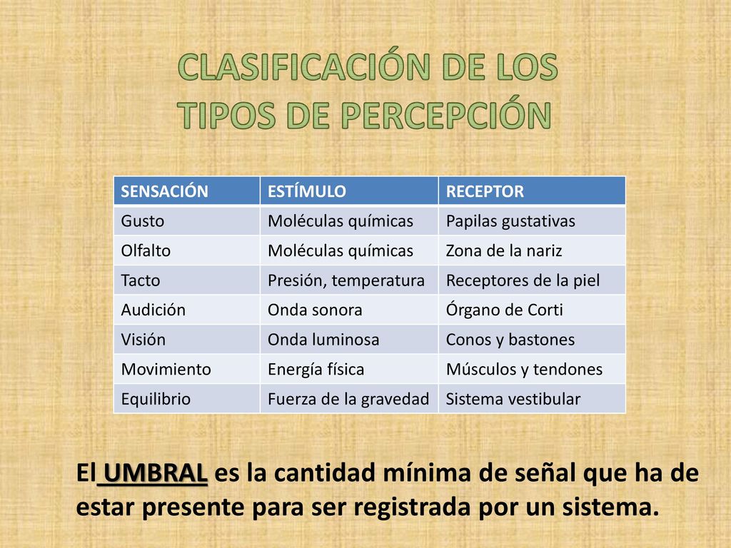 CLASIFICACIÓN DE LOS TIPOS DE PERCEPCIÓN