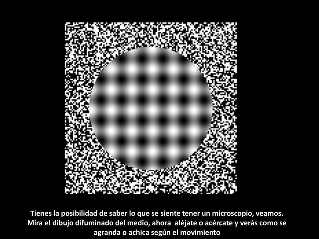 Tienes la posibilidad de saber lo que se siente tener un microscopio, veamos.