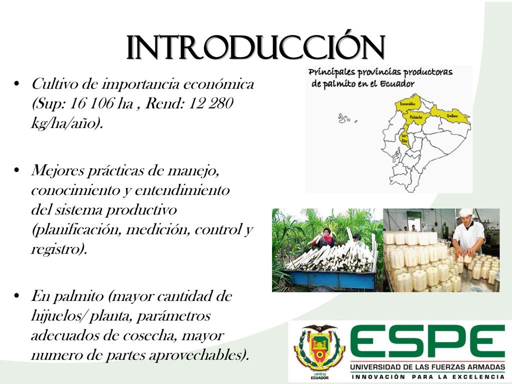 INTRODUCCIÓN Cultivo de importancia económica (Sup: ha , Rend: kg/ha/año).